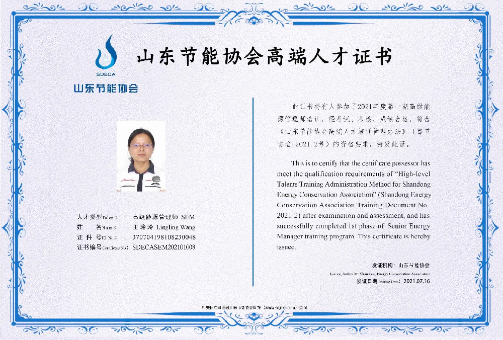 高级能源管理师 王玲玲