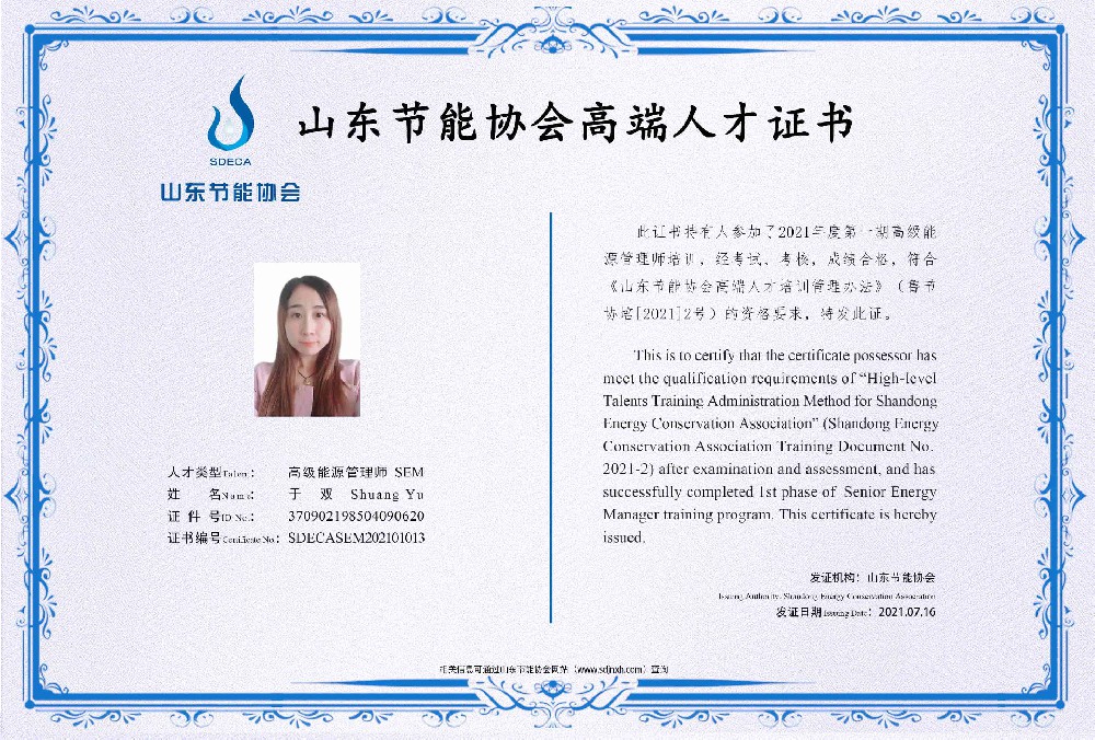 高级能源管理师 于双