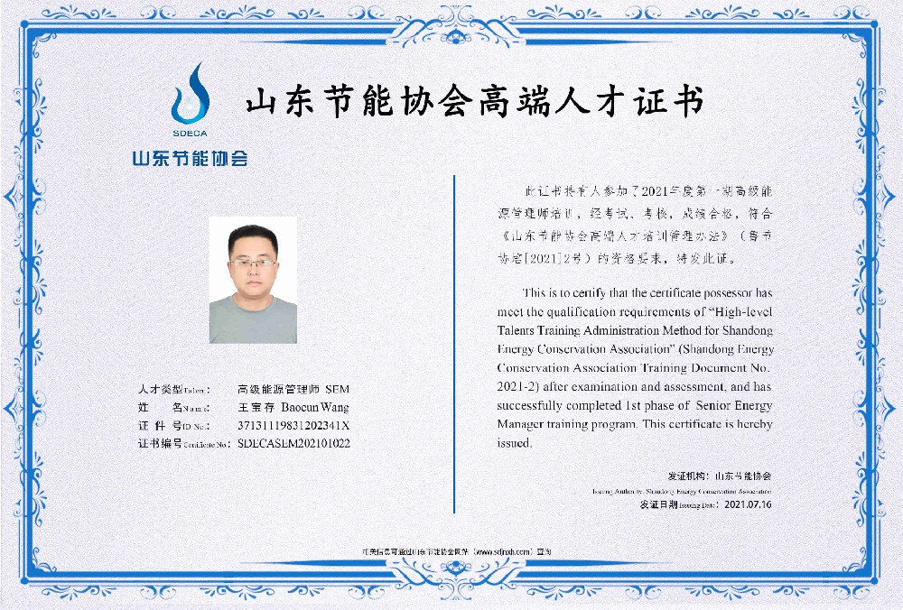 高级能源管理师 王宝存