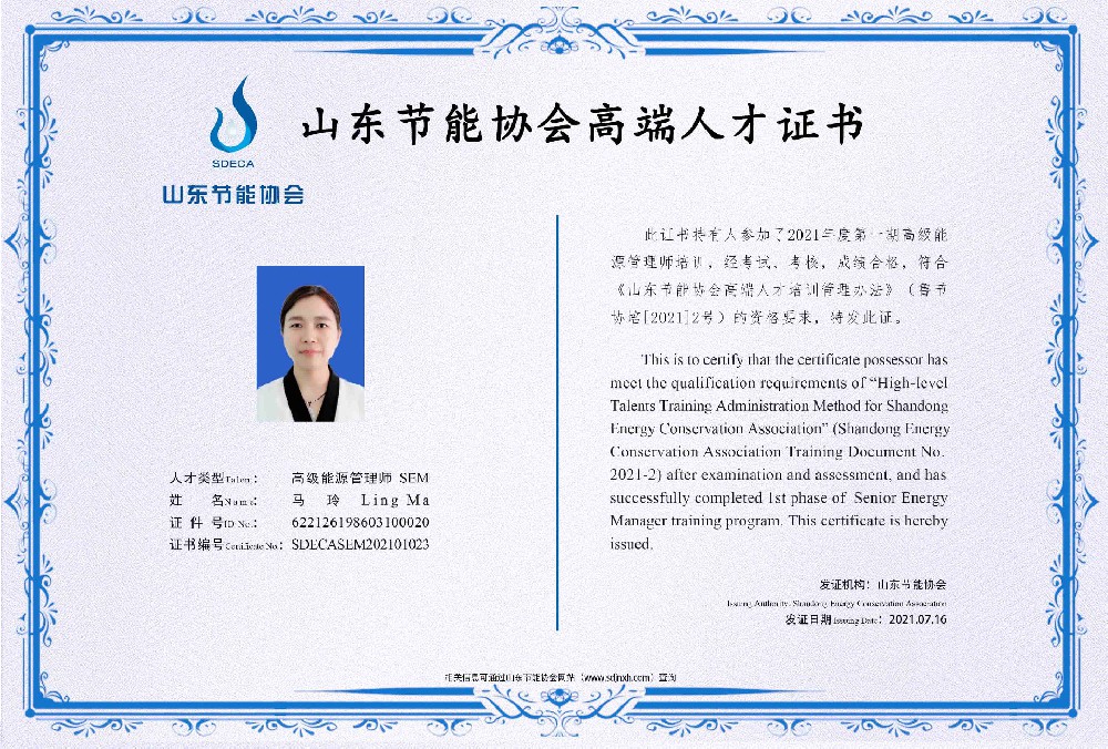高级能源管理师 马玲