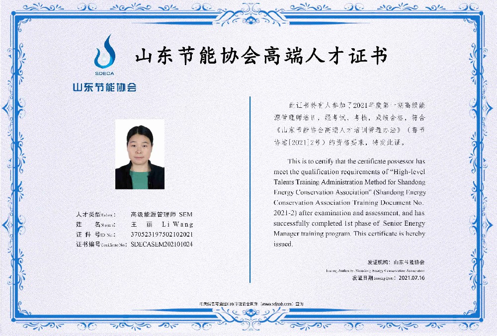 高级能源管理师 王丽