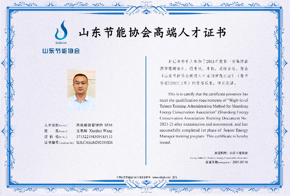 高级能源管理师 王宪辉